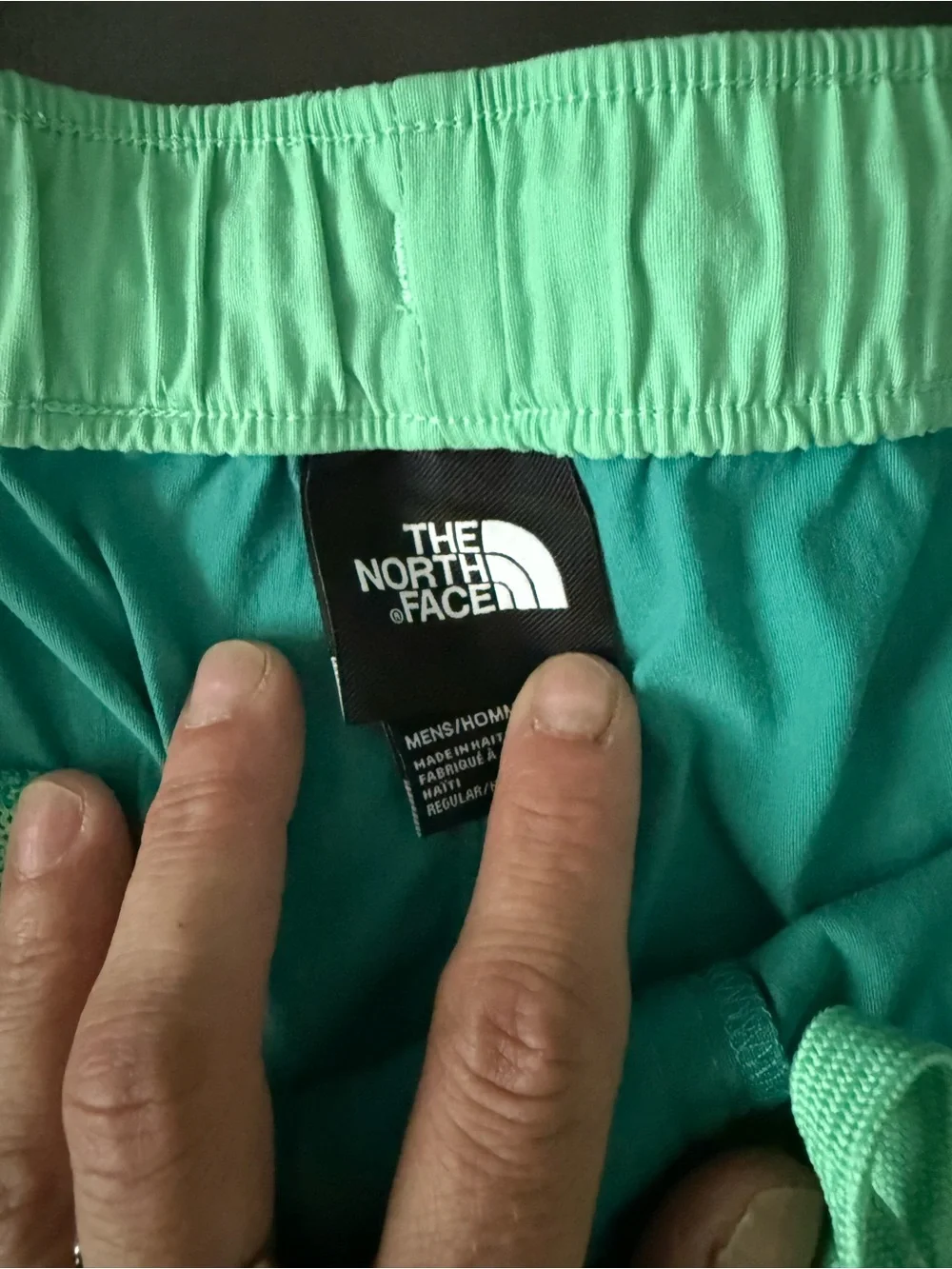 The north face men’s Aqua Teal Lightweight Active Shorts summer shorts gym